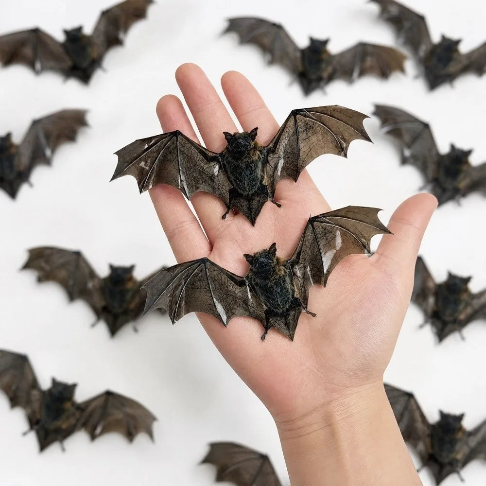 12Pcs Waterproof PVC 3D Bat Wall Stickers Realistic 3D Texture Double-sided Printing Halloween Bat Decals Easy to Paste Reusable